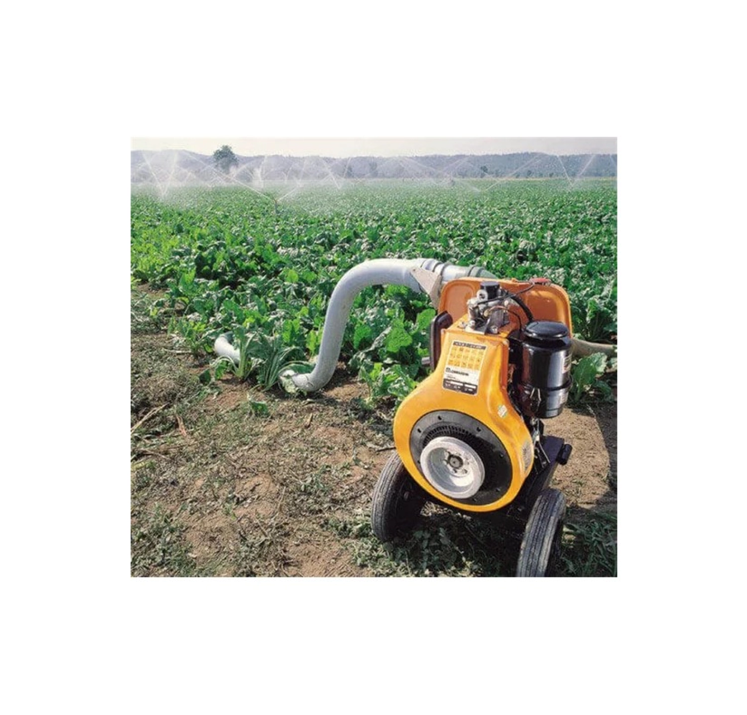 Antor 4Ld- 820 Marşlı 17Hp Dizel Su Motoru - Görsel 3