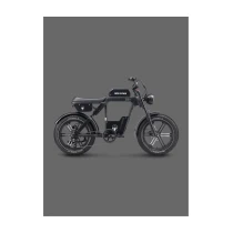 Ape Ryder Baboon Elektrikli Bisiklet