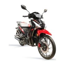 Arora Smart 100 Cup Motosiklet