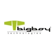 Bigboy Bssd2242N512G 512 Gb 2500-1800Mb/S 22X42 Pcıe M.2 Nvme Ssd Harddisk