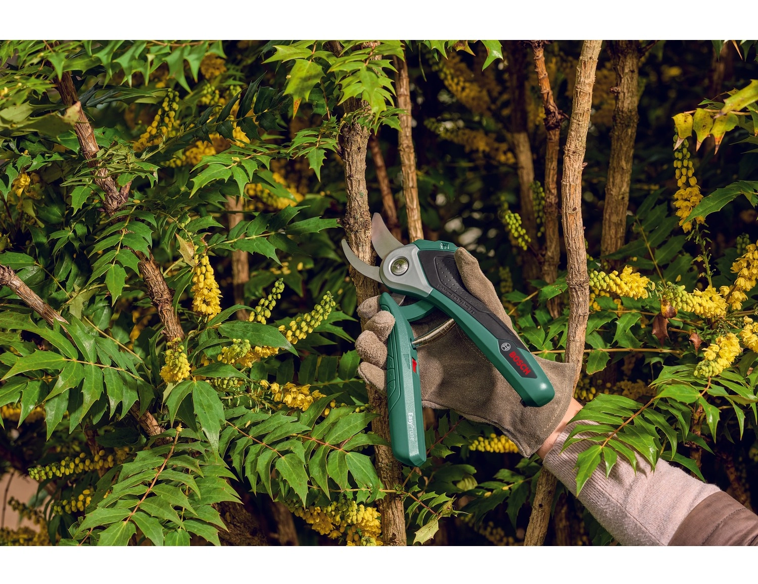 Bosch Easyprune Akülü Dal Budama Makası - Görsel 2
