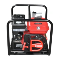 Dakkın Fp20 2Inc 6.5Bg 196Cc 30M3/Sa 32M 22Kg Benzinli Su Motoru