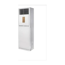 Daylux Dva125A 41000 Btu Salon Tipi Klima