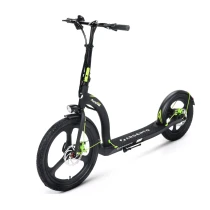 Ducati Argento Active Bike Elektrikli Scooter 350 W