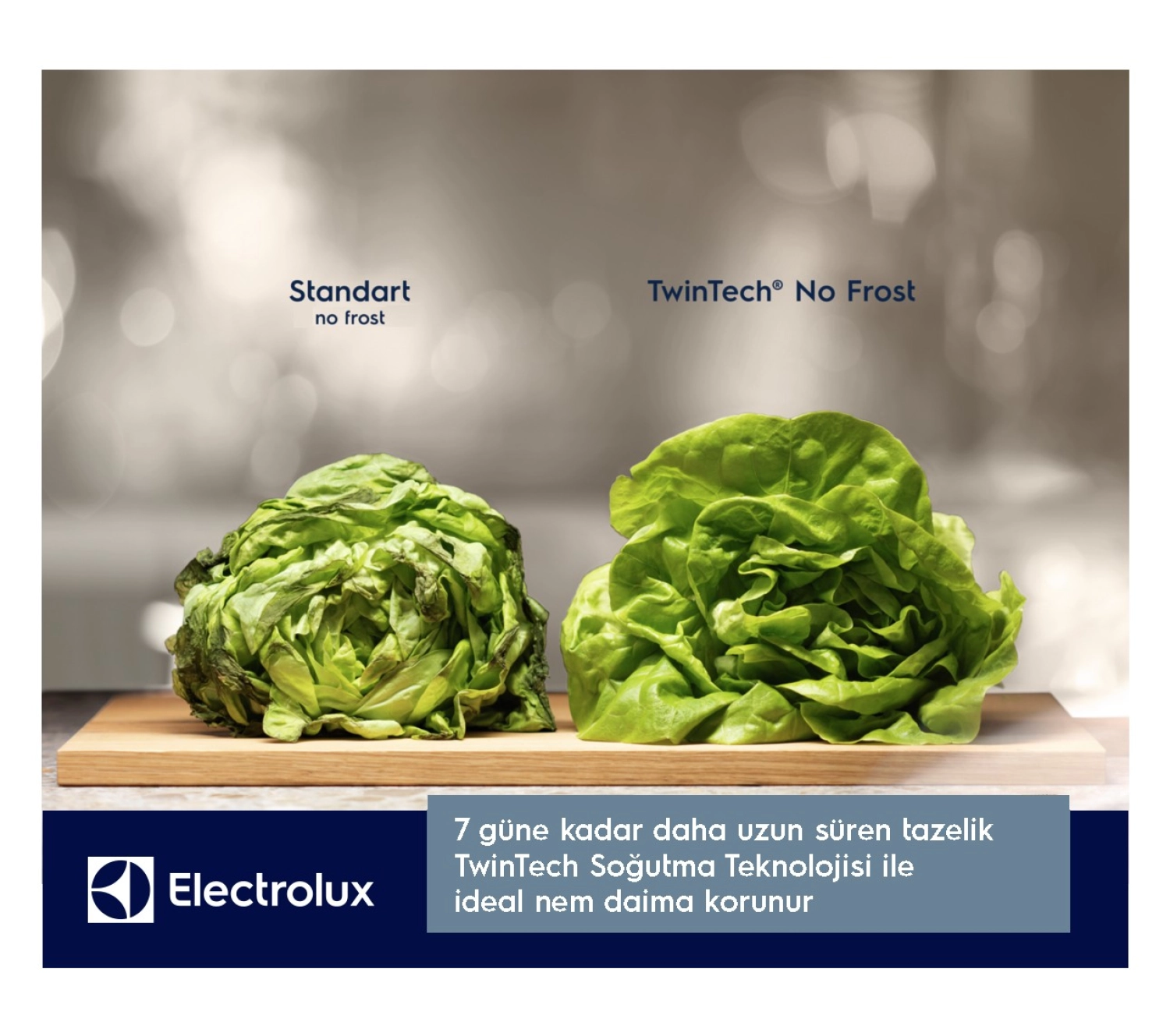 Electrolux Lnt7Md58X Twintech No-Frost 588 Lt 84 Cm Alttan Donduruculu Buzdolabı D Enerji Sınıfı Inox - Görsel 4