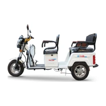Falcon Family 8000 3 Tekerlekli Elektrikli