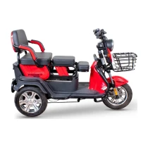 Falcon Frida 7000 Elektrikli 3 Tekerli Moped