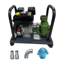 Garden Pro Wp-20/140H Yüksek Basınçlı Döküm Pompalı Su Motoru 140 Mt 7 Hp