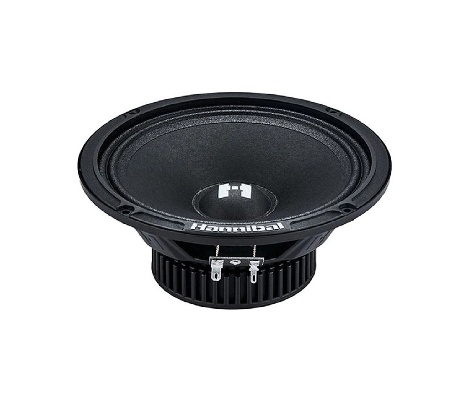 Hannibal Deaf Bonce Hannibal Hm-6E 16 Cm 160W 80Rms Midrange - Görsel 2