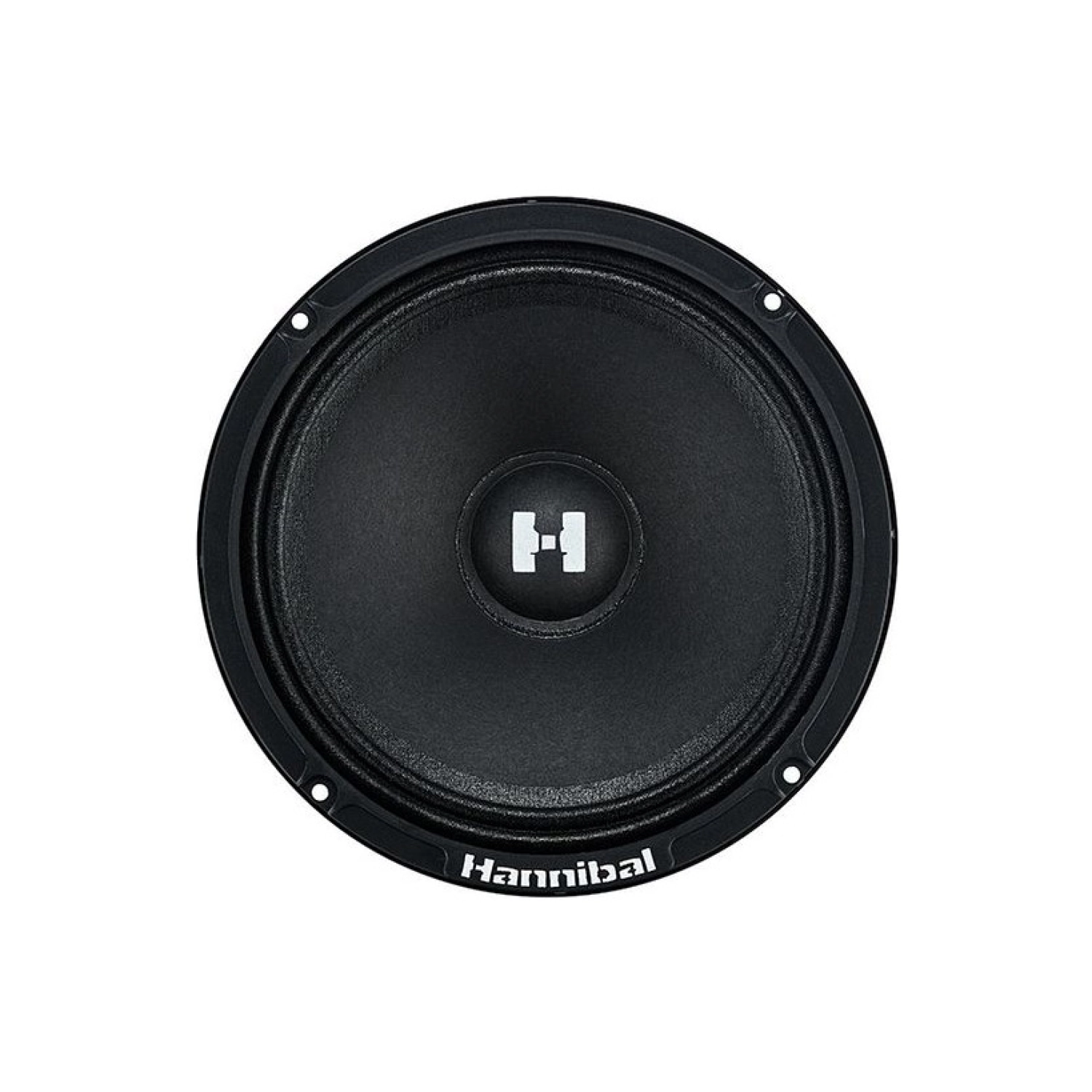 Hannibal Deaf Bonce Hannibal Hm-6E 16 Cm 160W 80Rms Midrange - Görsel 3