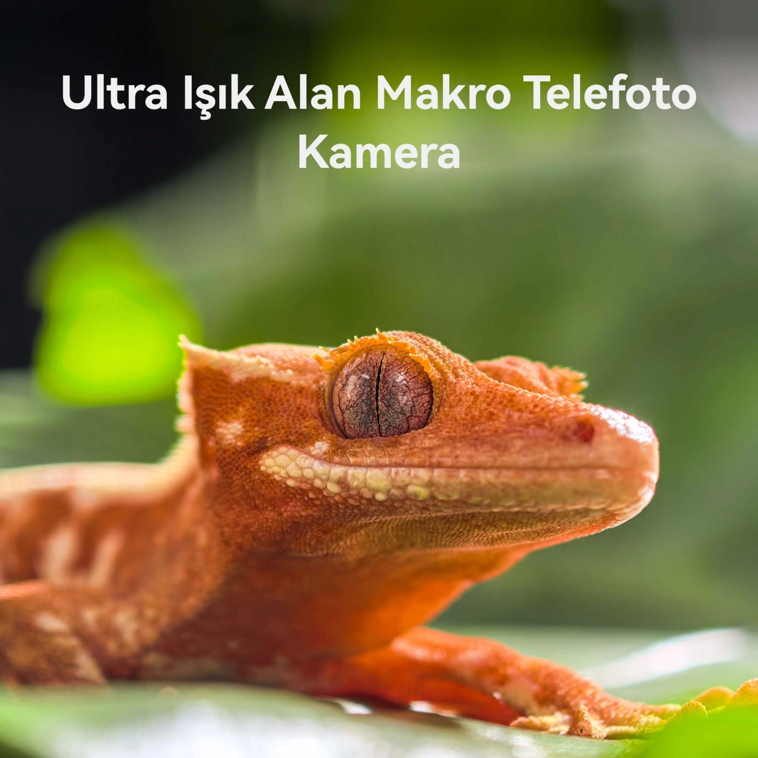 Huawei Pura 80 Pro 512 Gb Beyaz - Görsel 14