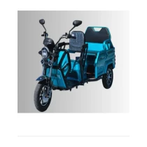 Jpn Motor-Avatar-Elektrikli 3 Tekerli Kasalı