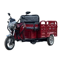 Jpn Motor - Avatar Vip - Elektrikli 3 Tekerli Tricycle