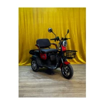Jpn Motor - Jp 6000 3 Tekerli Elektrikli Tricycle - Lityum Akü
