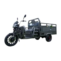 Karoval Moscow 3 Tekerlekli Elektrikli Motosiklet