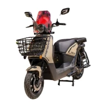 Mobilette - Carry 10000 Elektrikli Scooter - 2024 Model