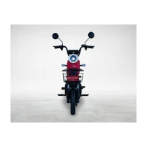Motolüx Gogo 4 Akülü Elektrikli Motosiklet