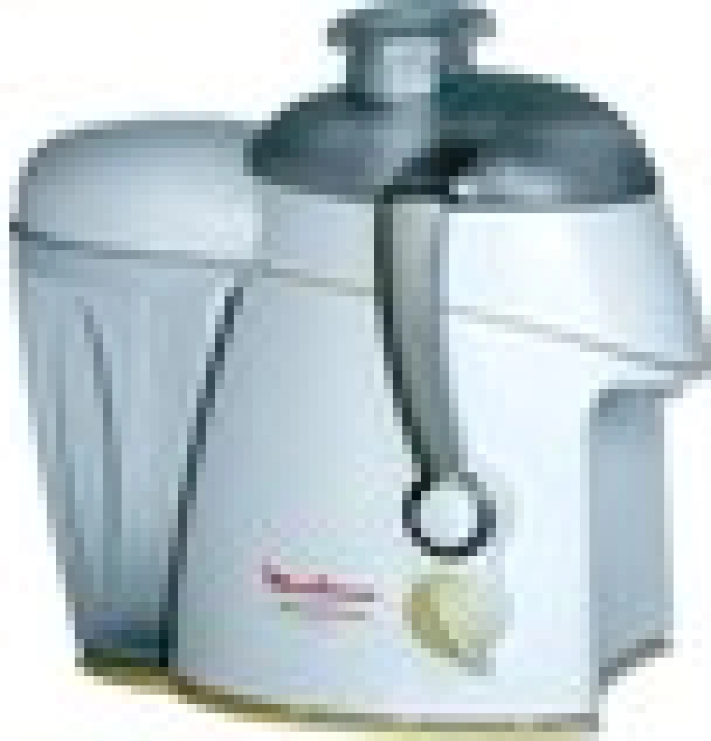 Moulinex Frutti Pro Katı Meyve Sıkacağı - Görsel 2