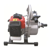 Palmera Qgz25 Su Motoru