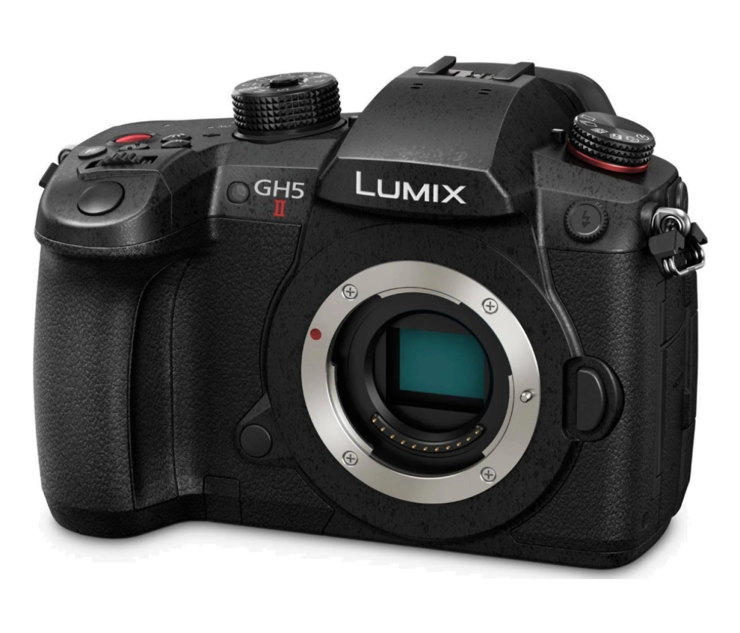 Panasonic Lumix Dc-Gh5 Iı Gövde (Dc-Gh5M2E) - Görsel 6