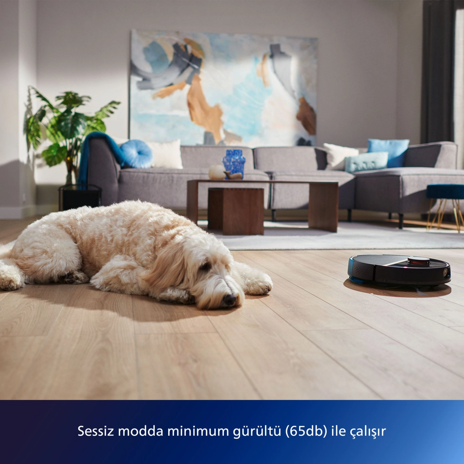 Ürün - Görsel 2