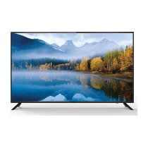 Profilo 55Pa515Eg 4K Ultra Hd 55" 140 Ekran Uydu Alıcılı Android Smart Led Tv