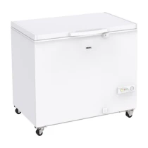 Regal Sd Dual 3020 Sandık Tipi Derin Dondurucu