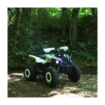 Revolt Volta Ra5 180Cc Offroad Atv