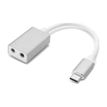 S-Link Sl-Usb-C80 Usb 3.1 10Cm Kablolu Type-C To 2*3.5Mm Audio Çevirici