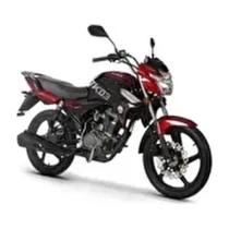 Scooter Motor