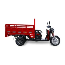 Sfm Expressplus E2000 Elektrikli Trıcycle Moped