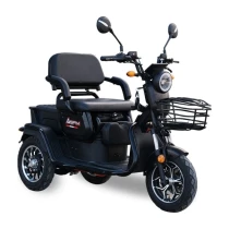Sfm - Ihlara Sf 100 - 3 Tekerli Elektrikli E-Tricycle