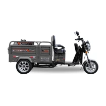 Sfm - Magneta E1800 -3 Tekerli Elektrikli Tricycle