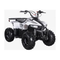 Skyjet 110 Cc Off Road Atv