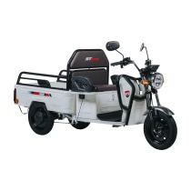 Stmax Gf200 3 Tekerli Elektrikli Moped - Krem