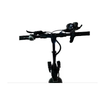 Sway Çita Çift Amortisörlü 1000W 10 Inç Elektrikli Scooter