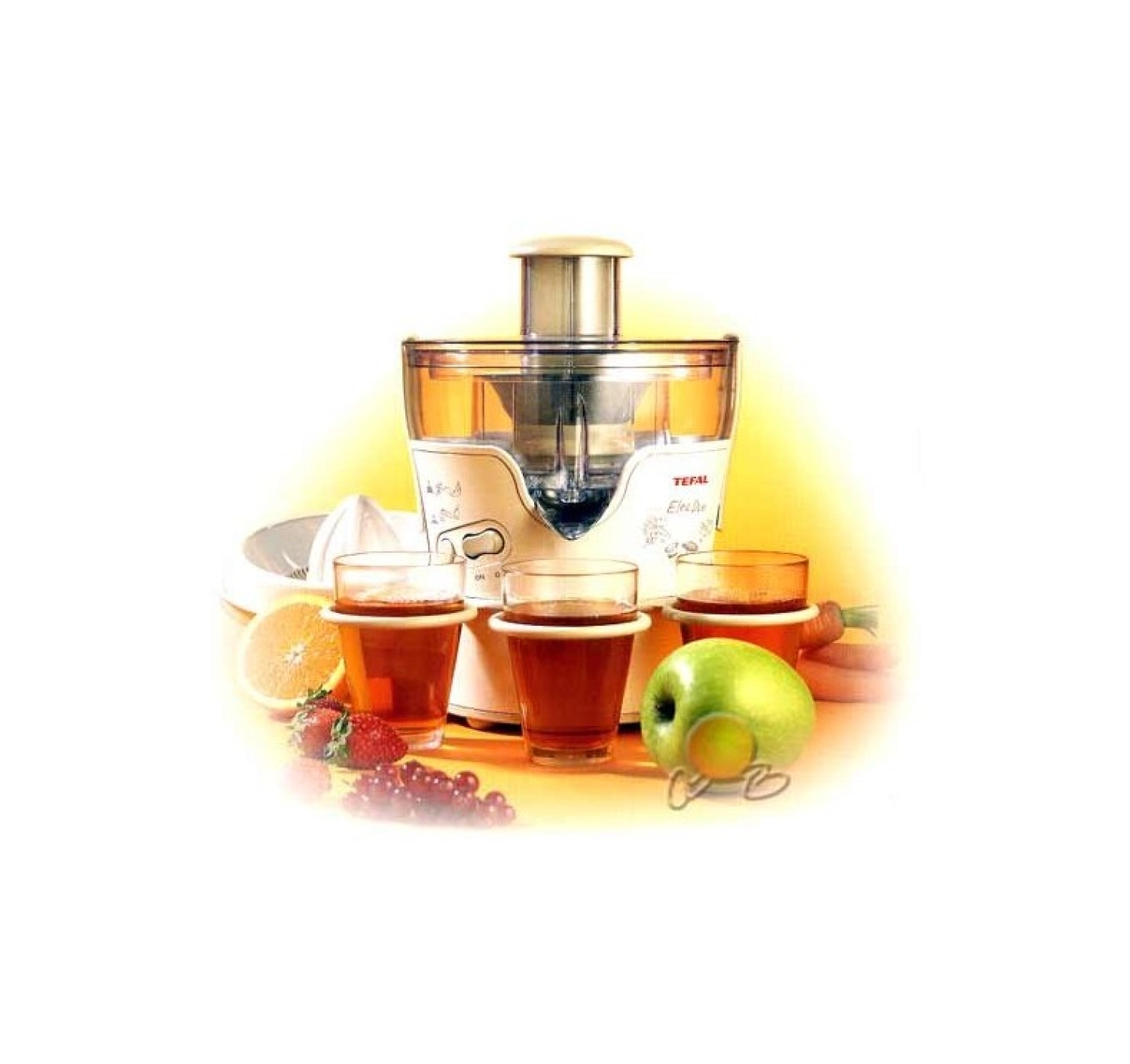 Tefal Elea Duo Zn355C Katı Meyve Sıkacağı ürün görseli