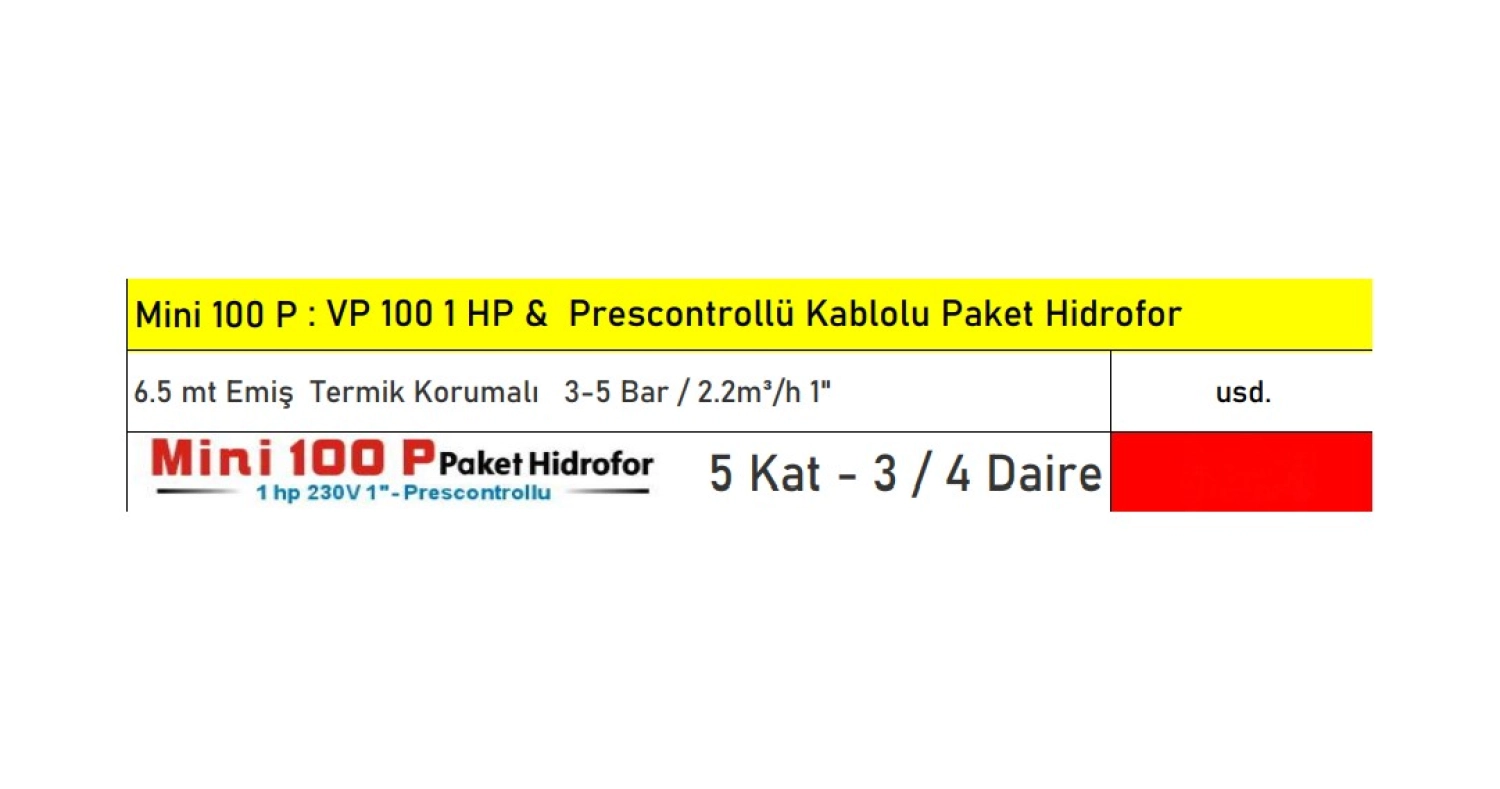 Vortex Mini 100P 1 Hp 5 Kat 4 Daire Termik Korumalı Paket Hidroforu - Kablolu Hidromatlı - Görsel 2