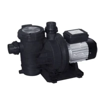 Waterfun Senkron-1 0,75 Hp 220 Volt Havuz Pompası